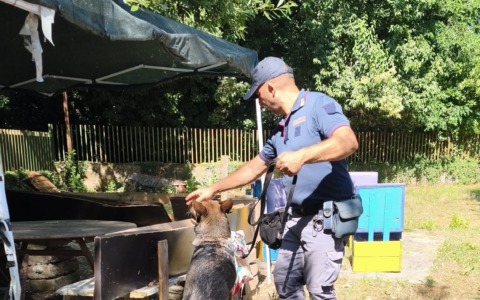 Operazione della polizia a Frosinone: droga e sgomberi