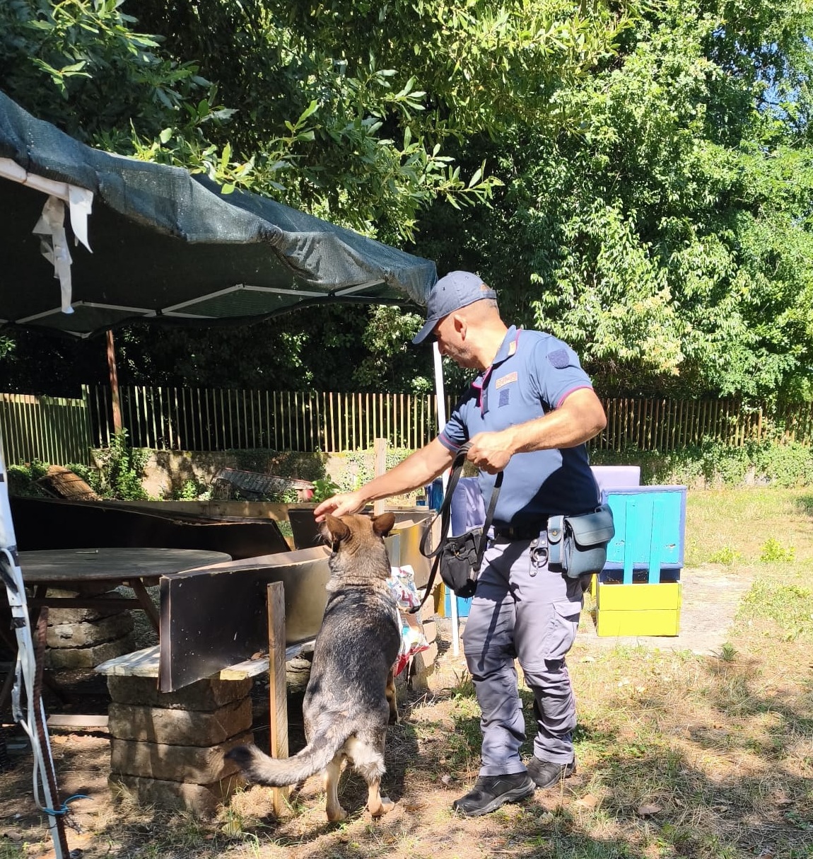 Operazione della polizia a Frosinone: droga e sgomberi