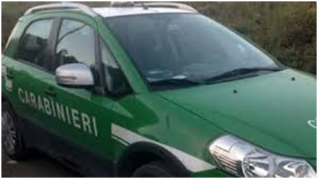 Rifiuti stoccati illegalmente, denunciato il titolare di un’azienda