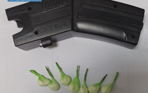 Denunciato 21enne rumeno con taser e cocaina a Cassino