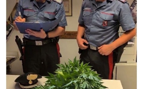 Operazione antidroga a Ferentino: denunciato un 51enne