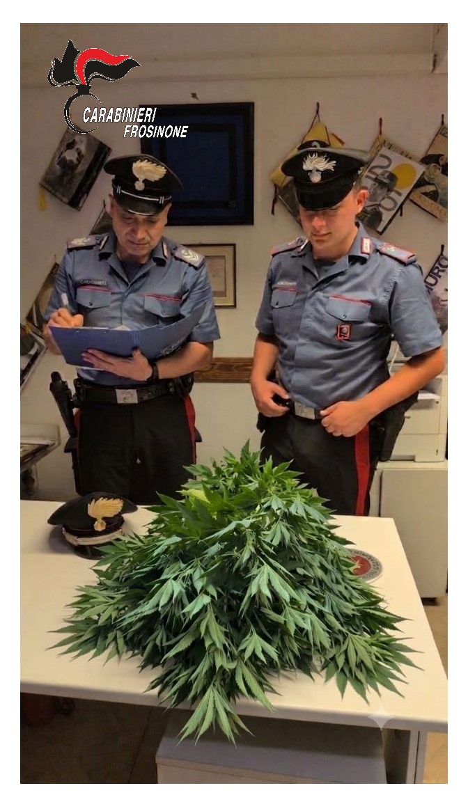 Operazione antidroga a Ferentino: denunciato un 51enne