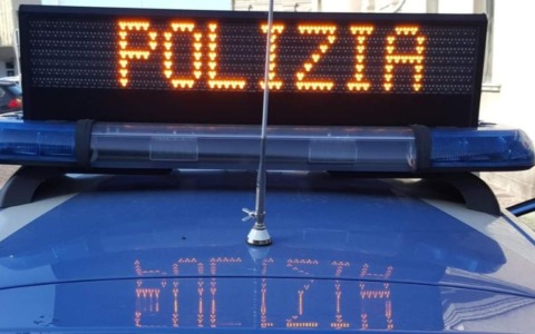 Cane mai consegnato dopo il bonifico: denunciato 30enne