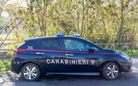 Taglia 40 querce in un bosco privato: denunciato