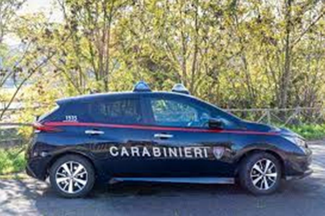 Taglia 40 querce in un bosco privato: denunciato