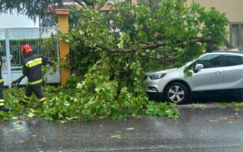 Nubifragio a Frosinone: alberi caduti e due feriti