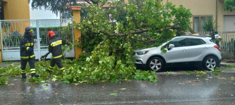 Nubifragio a Frosinone: alberi caduti e due feriti