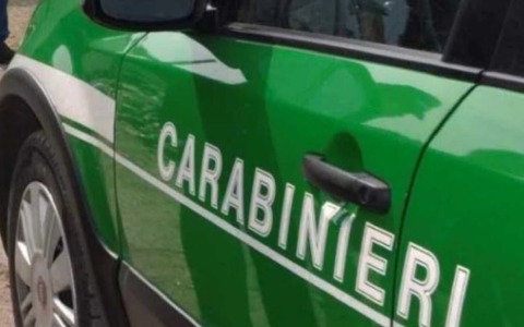 Rifiuti trasportati senza autorizzazione: denunciato a Pontecorvo