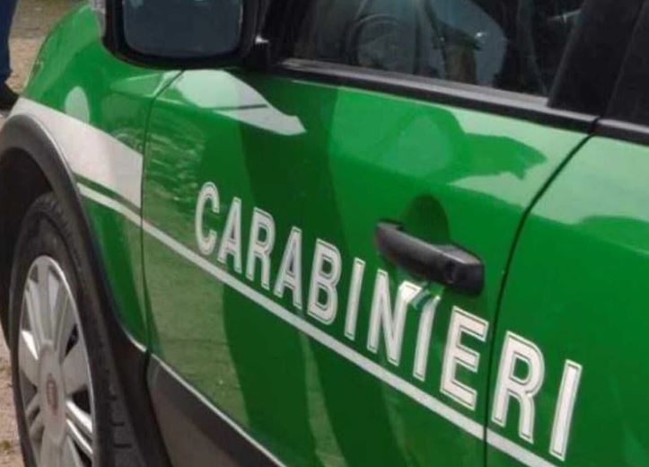 Rifiuti trasportati senza autorizzazione: denunciato a Pontecorvo