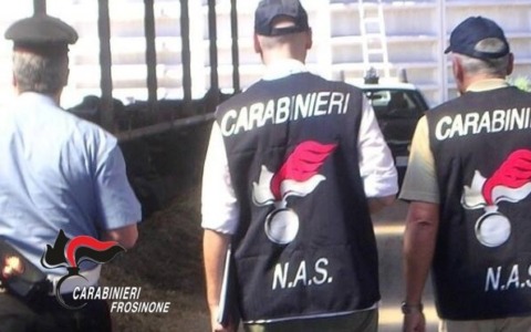 Carenze igieniche, sospese due attività di ristorazione