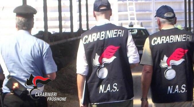 Carenze igieniche, sospese due attività di ristorazione